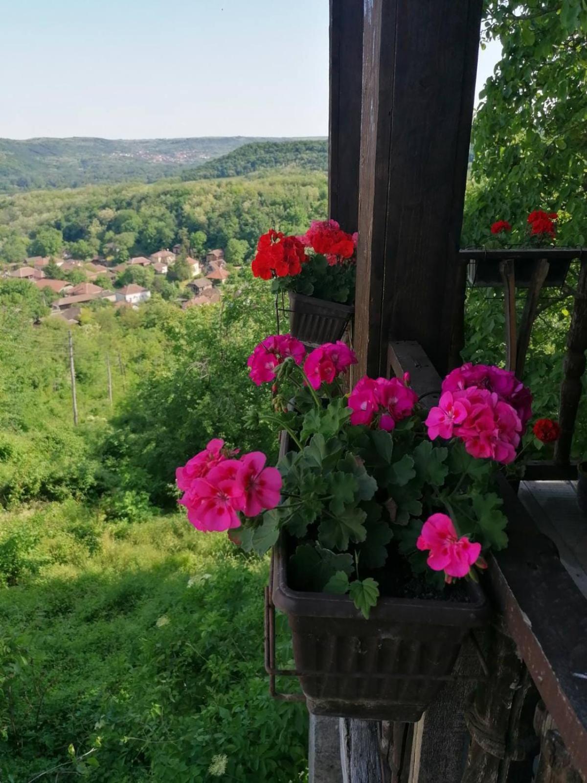Country House Pivnica Milic Rogljevo 아파트 외부 사진