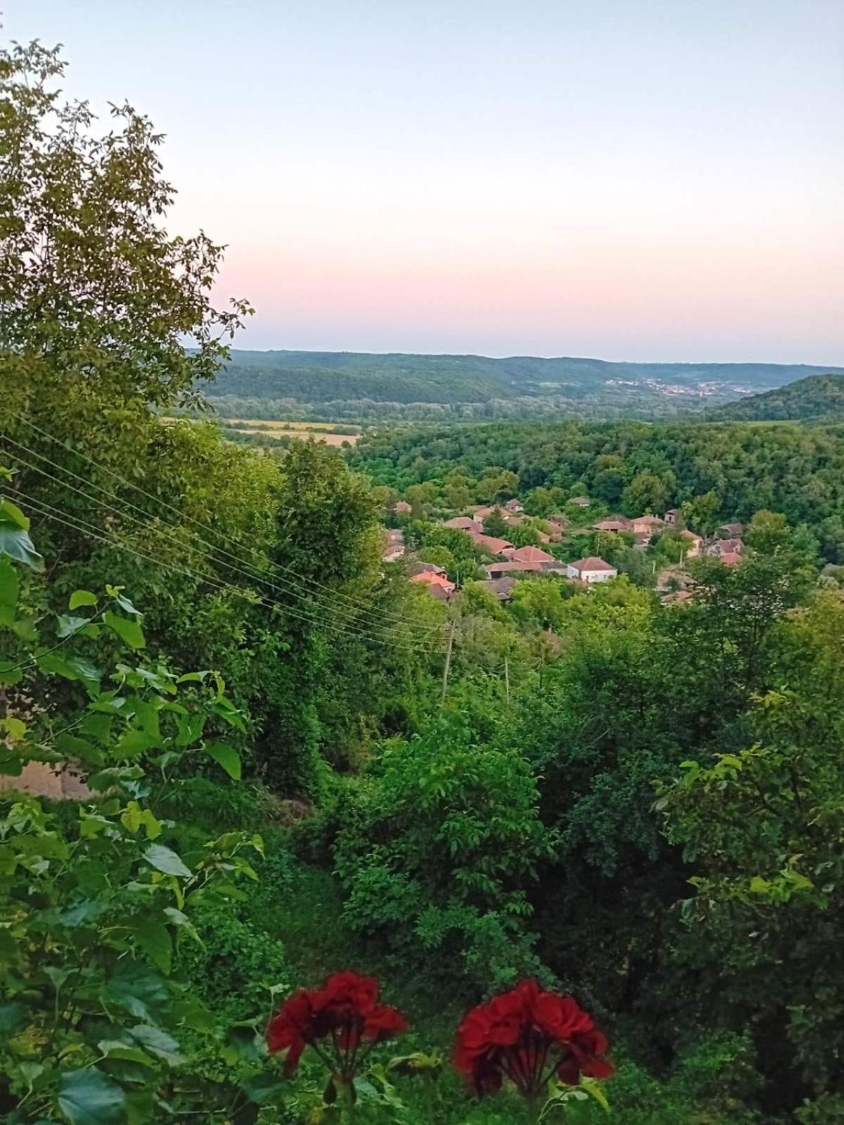 Country House Pivnica Milic Rogljevo 아파트 외부 사진